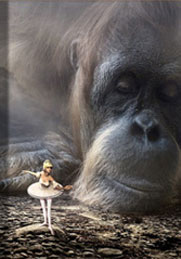 The E-Learning Basics